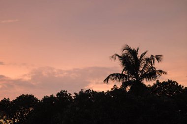 Kosta Rika 'daki güzel tropikal Pasifik Okyanusu kıyısı