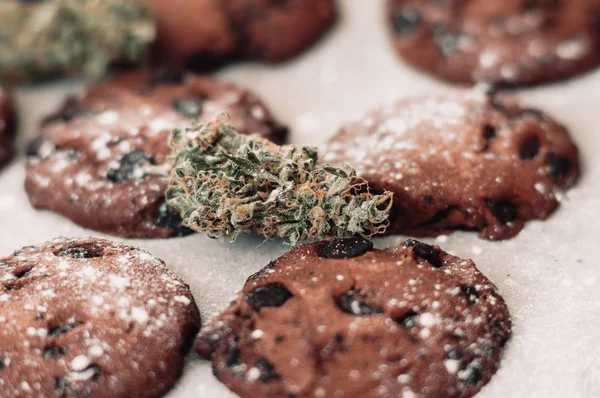 Doces com erva. Bolachas de chocolate com marijuana. Doces com cannabis. Botões de canábis num fundo preto. Cozimento com a adição de CBD . — Fotografia de Stock