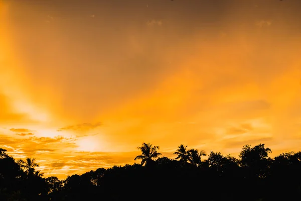 Obrysy palem odráží ve vodě na tropické pláži za soumraku. — Stock fotografie