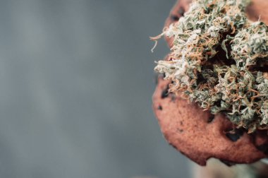 Çikolata kurabiye esrar ile. Esrar ile tatlılar. Esrar tomurcukları siyah bir arka plan. Cbd. tatlı ot ile ilavesi ile pişirme. Boşluk