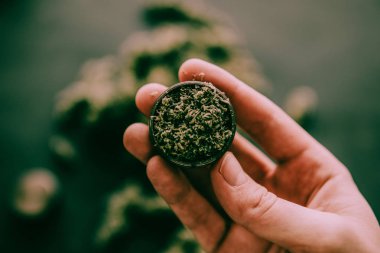 bir değirmeni marihuana otu bir arka plan huysuz yeşil tonu karşı eziyet el
