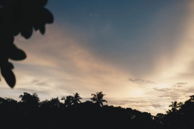 gün batımında palmiye ağaçlarının silüetler ile güzel tropikal plaj