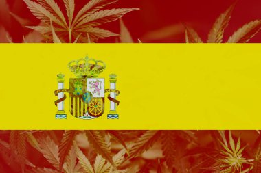 Esrar yasallaştırma yordamı İspanya. İspanya esrar tıbbi kullanımı. İspanya marihuana decriminalization.