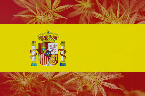 Medical Use of Cannabis in Spain. The decriminalization of marijuana in Spain. Cannabis Legalization  Spain.