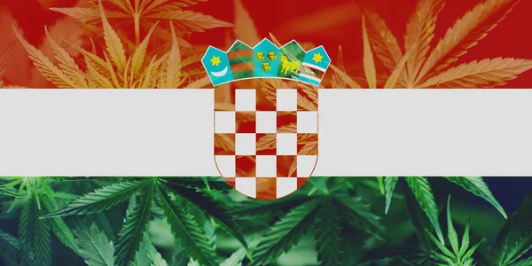 Cannabis-Legalisierung in Kroatien. medizinische Verwendung von Cannabis in Kroatien. die Entkriminalisierung von Marihuana in Kroatien. — Stockfoto