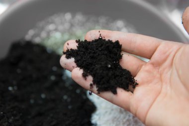 Toprak bir adam elinde. Doore tıbbi esrar kapalı büyüyen kavramı. Esrar için alt katman. Yakın çekim. Toprak esrar. Dünya, perlit ve vermikülit karışımı.