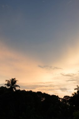 günbatımı iki palmiye ağaçları ile