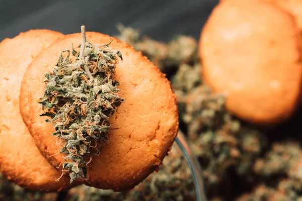 Bolachas com marijuana. Doces com cannabis. Botões de canábis num fundo preto. Doces com erva. Cozimento com a adição de CBD . — Fotografia de Stock