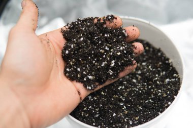 Substrat kadar esrar için kapatın. Doore tıbbi esrar kapalı büyüyen kavramı. Dünya, perlit ve vermikülit karışımı. Esrar esrar büyüyen için toprak ile.