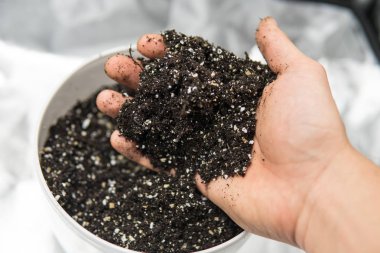 Substrat kadar esrar için kapatın. Dünya, perlit ve vermikülit karışımı. Esrar esrar büyüyen için toprak ile. Doore tıbbi esrar kapalı büyüyen kavramı.