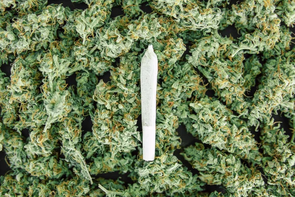 Unkraut von oben Ansicht kopieren Spase Nahaufnahme Joint und Hintergrund der Knospen Cannabis, Marihuana-Blüte — Stockfoto