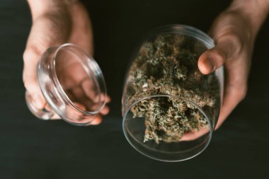 Üstten görünüm. Yakın çekim. Siyah arka plan. Esrar legalizing kavramları. Esrar bir adam elinde taze tomurcuklu bir banka. Bir sürü esrar.