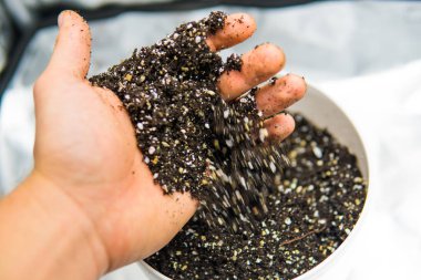 Substrat kadar esrar için kapatın. Esrar esrar büyüyen için toprak ile. Doore tıbbi esrar kapalı büyüyen kavramı. Dünya, perlit ve vermikülit karışımı.