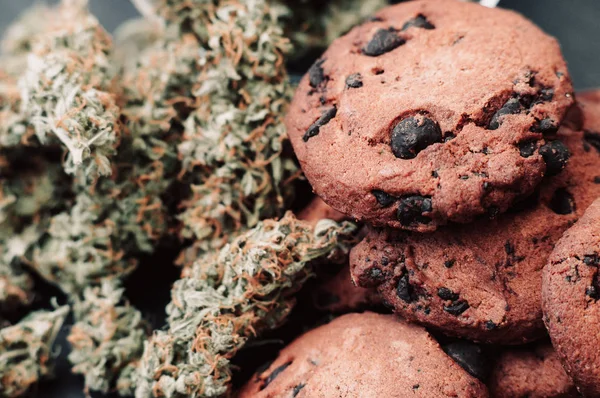 Gemme di cannabis su sfondo nero. Cottura con l'aggiunta di CBD. Dolci con erba. Biscotti al cioccolato con marijuana. Dolci con cannabis. macro — Foto Stock