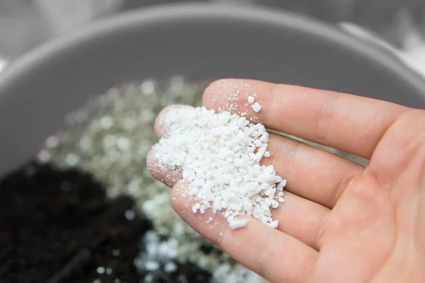 Perlite in the hands of a man. Close up. Soil growing cannabis. A mixture of earth, perlite and vermiculite. The concept of growing medical cannabis in the doore indoor. Substrate for marijuana. — Stock Photo, Image