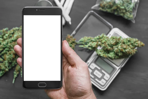 Smartphone with white screen and weed — Stock Photo, Image