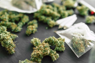 Bud esrar çiçek ölçekler, kıyma ve rendelenmiş esrar ortak