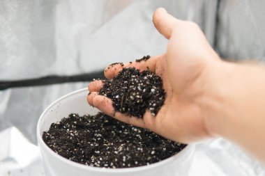 Esrar esrar büyüyen için toprak ile. Dünya, perlit ve vermikülit karışımı. Doore tıbbi esrar kapalı büyüyen kavramı. Esrar için yüzey kapatmak.