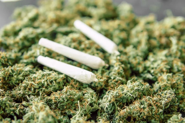 View copy spase close up Articulación y antecedentes de brotes cannabis, marihuana flower weed top —  Fotos de Stock