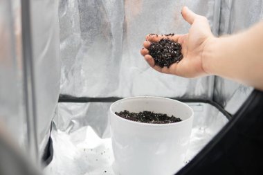 Dünya, perlit ve vermikülit karışımı. Substrat kadar esrar için kapatın. Esrar esrar büyüyen için toprak ile. Doore tıbbi esrar kapalı büyüyen kavramı.