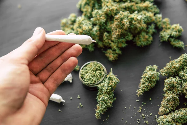 Marihuana en la mano con tricomas y malezas trituradas —  Fotos de Stock