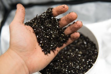 Dünya, perlit ve vermikülit karışımı. Doore tıbbi esrar kapalı büyüyen kavramı. Substrat kadar esrar için kapatın. Esrar esrar büyüyen için toprak ile.