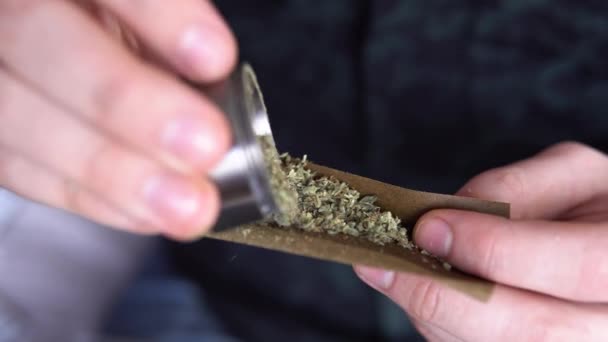 Ember gördülő marihuána weed, blunt. színes fény nyalogatja tónusú fény szivárog közel marihuána közös könnyebb fel. Ember gördülő marihuána a kannabisz tompa. — Stock videók