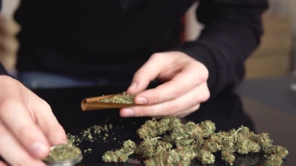 Man rullar marijuana cannabis trubbigt. En man som rullar marijuana-gräs. Närbild marijuana joint med tändare. ljus slickar färg tonade ljus läckor — Stockvideo