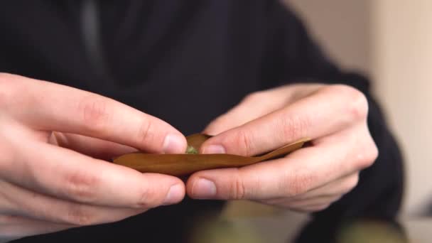 Joint de marijuana avec briquet. Un homme qui roule du cannabis contondant. L'homme roule une herbe à marijuana contondante. lumière lèche couleur tonique lumière fuites Gros plan — Video