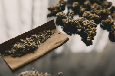 Kenevir tomurcukları için CBD ve THC. Bitki öğütücü Taze marihuana. Kapatın. Blunt ve Lighters. Boşluğu kopyalamak için siyah arkaplan üzerinde esrar tomurcukları.