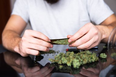 Esrar saran bir adam. Uyuşturucu narkotik konsepti. Marihuana hazırlayan ve yuvarlayan adam. Esrarkeşin çakmakla esrar içtiği yeri kapatın. Uyuşturucu kullanımı. Kapat..