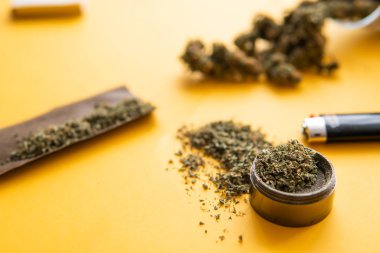 Çakmak ve künt. Kopya alanı için arka plan. Kenevir yasallaştırılması. Üstten Görünüm. Taze esrar. Esrar tomurcukları Sarı zemin üzerine. CBD ve esrar tomurcukları Thc.