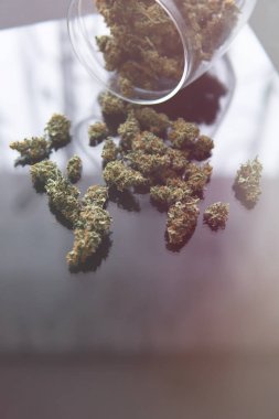 Kenevir tomurcukları için CBD ve THC. Blunt ve Lighters. Kapatın. Bitki öğütücü Taze marihuana. Boşluğu kopyalamak için siyah arkaplan üzerinde esrar tomurcukları.