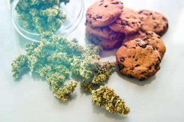 Esrarlı kurabiyeler ve masada esrar tomurcukları. Gıda ve beyaz arka planda tıbbi marihuana kullanımı. Kenevir otlu kurabiyeler CBD.
