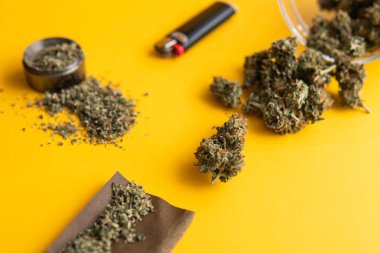 Esrar tomurcukları Sarı zemin üzerine. Çakmak ve künt. CBD ve Thc esrar tomurcukları üzerinde. Kopya alanı için arka plan. Kenevir yasallaştırılması. Taze esrar. Üstten Görünüm.