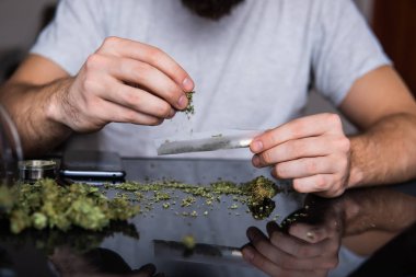 Marihuana hazırlayan ve yuvarlayan adam. Esrarkeşin çakmakla esrar içtiği yeri kapatın. Uyuşturucu narkotik konsepti. Esrar saran bir adam. Uyuşturucu kullanımı. Kapat..