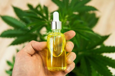 Marijuana bitkisi, Cbd petrol pipet karşı Kenevir yağı şişe tutan el