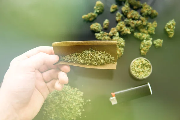 Molinillo de hierbas Marihuana fresca. Brotes de cannabis en mano sobre fondo negro Antecedentes para Copiar el espacio CBD y THC sobre brotes de cannabis. De cerca. Blunt y encendedores . —  Fotos de Stock