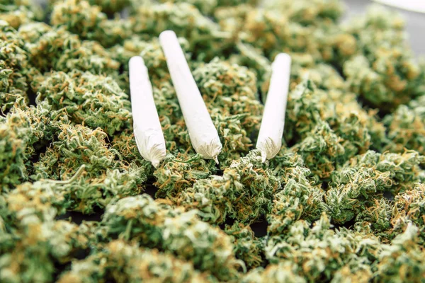 Marihuana Blume Unkraut von oben Ansicht kopieren Spase Nahaufnahme Joint und Hintergrund der Knospen Cannabis — Stockfoto