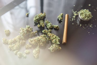 Kenevir için blunt tamamladı. Esrar tomurcukları siyah arka plan üzerine. Kenevir yasallaştırılması. Taze esrar. CBD ve Thc esrar tomurcukları üzerinde. Adam kopya alanı için.