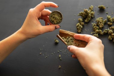 Hazırlama ve esrar esrar ortak inişli çıkışlı bir kadın. Esrar kullanımı kavramı. Esrar esrar inişli çıkışlı bir kadın. Marihuana künt öğütücü ile kapatın. Üstten Görünüm