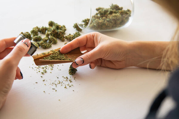 Woman preparing and rolling marijuana cannabis joint. Woman rolling a marijuana blunt on white background. Close up of marijuana blunt with grinder. Cannabis use concept.