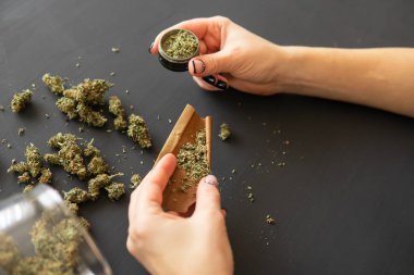 Esrar kullanımı kavramı. Esrar esrar haddeleme kadın kapatın. Marihuana künt öğütücü ile kapatın. Hazırlama ve esrar esrar ortak haddeleme kadın.