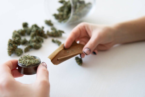 Женщина катит марихуану на белом фоне. Концепция марихуаны. Женщина готовит и катит марихуану марихуану. Крупный план марихуаны с молотилкой
.