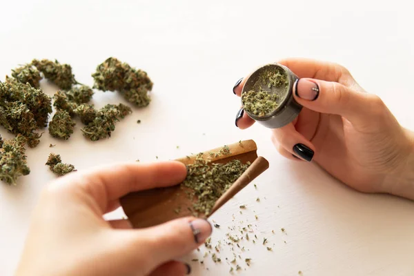 Concepto de consumo de cannabis. Cierre de marihuana roma con molinillo. Mujer rodando una marihuana roma sobre fondo blanco. Mujer preparando y rodando marihuana marihuana conjunta. — Foto de Stock