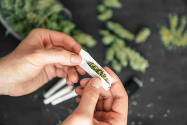 Maleza de cannabis articulado enrollado en la mano del hombre Conos brote de marihuana flores cannabis —  Fotos de Stock