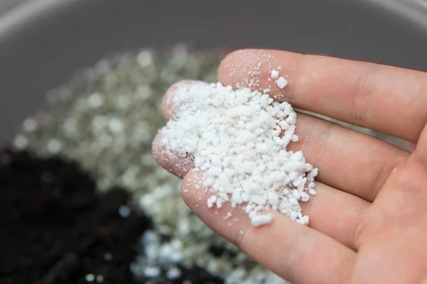 Perlite nas mãos de um homem. Uma mistura de terra, perlite e vermiculite. O conceito de cultivo de cannabis medicinal no interior doore. Substrato para marijuana. Fecha. Solo cultivo de cannabis . — Fotografia de Stock