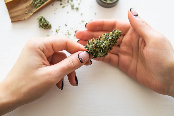 Close up of marijuana blunt with grinder. Woman preparing and rolling marijuana cannabis joint. marijuana use concept. Woman rolling a cannabis blunt on white background.