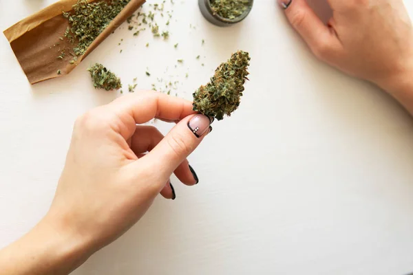 Tutup ganja tumpul dengan penggiling. Wanita mempersiapkan dan menggulung ganja ganja ganja ganja ganja bersama. Cannabis menggunakan konsep. Wanita menggulung tumpul ganja pada latar belakang putih. Tampilan atas — Stok Foto