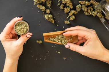 Hazırlama ve esrar esrar ortak inişli çıkışlı bir kadın. Esrar esrar haddeleme kadın kapatın. Esrar kullanımı kavramı. Marihuana künt öğütücü ile kapatın. Üstten Görünüm